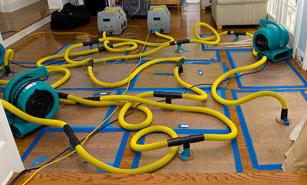 Professional Sewage Cleanup technician working in Tipton, IA